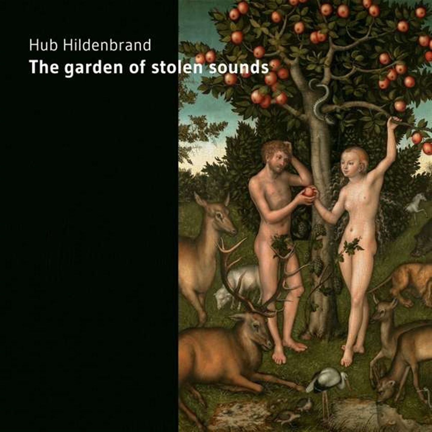 Hub Hildenbrand - The Garden Of Stolen Sounds - Afbeelding 1 van 1